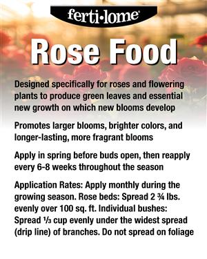 13830 Rose Food 72 dpi USE image 02